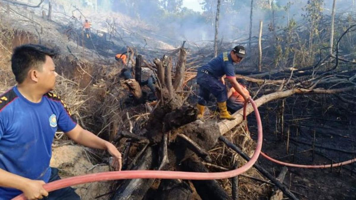 BMKG Detects 31 Hot Spots Spread across East Kalimantan