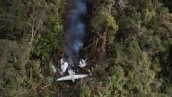 TNI-AUカラカルヘリコプターがパプア山脈での飛行機墜落事故の犠牲者の避難に配備されました