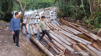 Throughout 2021, Riau Police Investigate 29 Illegal Logging Cases With 41 Perpetrators