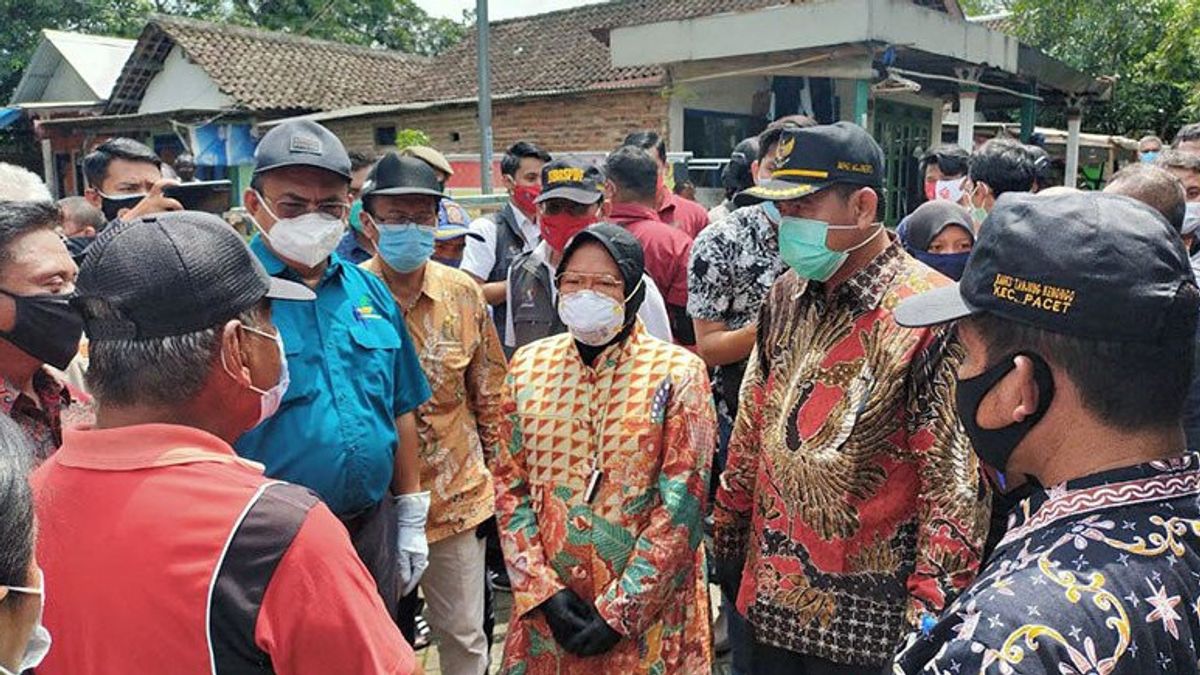 Risma Blusukan à Jakarta, MCC: Pas Mensos DKI, Nous Attendons Ailleurs