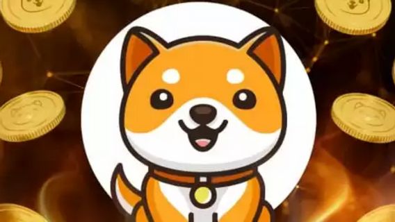 BABYDOGE Meme Coin Launches Virtual Card, Results Of Collaboration With FCF Pay
