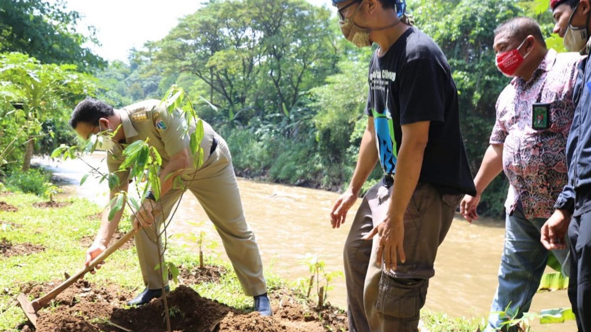 Tanam Pohon di Bantaran Sungai Ciliwung, Anies: Bicara Naturalisasi, Kita Harus Hidup Bersama Siklus Alam