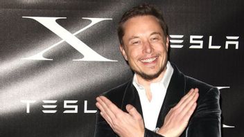 Regarding The Issue Of X Will Be Blocked In Brazil, Here's Elon Musk's Response