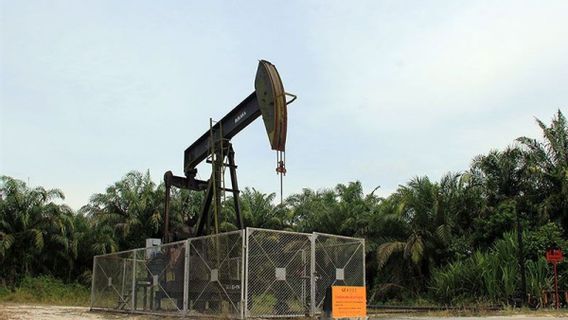 Le grand potentiel et contenant du pétrole en poids, ESDM demande à l’expert Pertamina Law