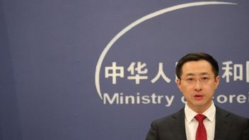 中国はガザでの永久兵器停止に関する国連決議を支持