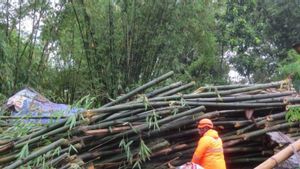 Angin Kencang Hantam Jember, 2 Orang Tewas
