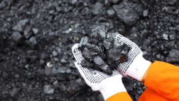 Coal Prices Soar, Suppliers Are Asked To Secure Domestic Supply