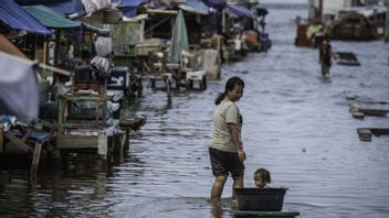 Tanah Bumbu dan Kotabaru Kalsel Berpotensi Banjir Rob Pekan Depan