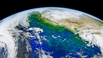 Revealed! Characteristics of the Paleozoic Era: Early Period of Life on Earth