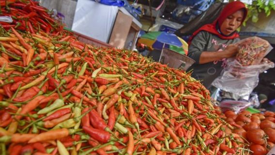BI ने NTB में चिली राविट की आपूर्ति के बीच सहयोग की सुविधा प्रदान की