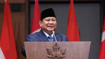 Menlu Tepis Rumor Prabowo Bakal Kunjungi Israel