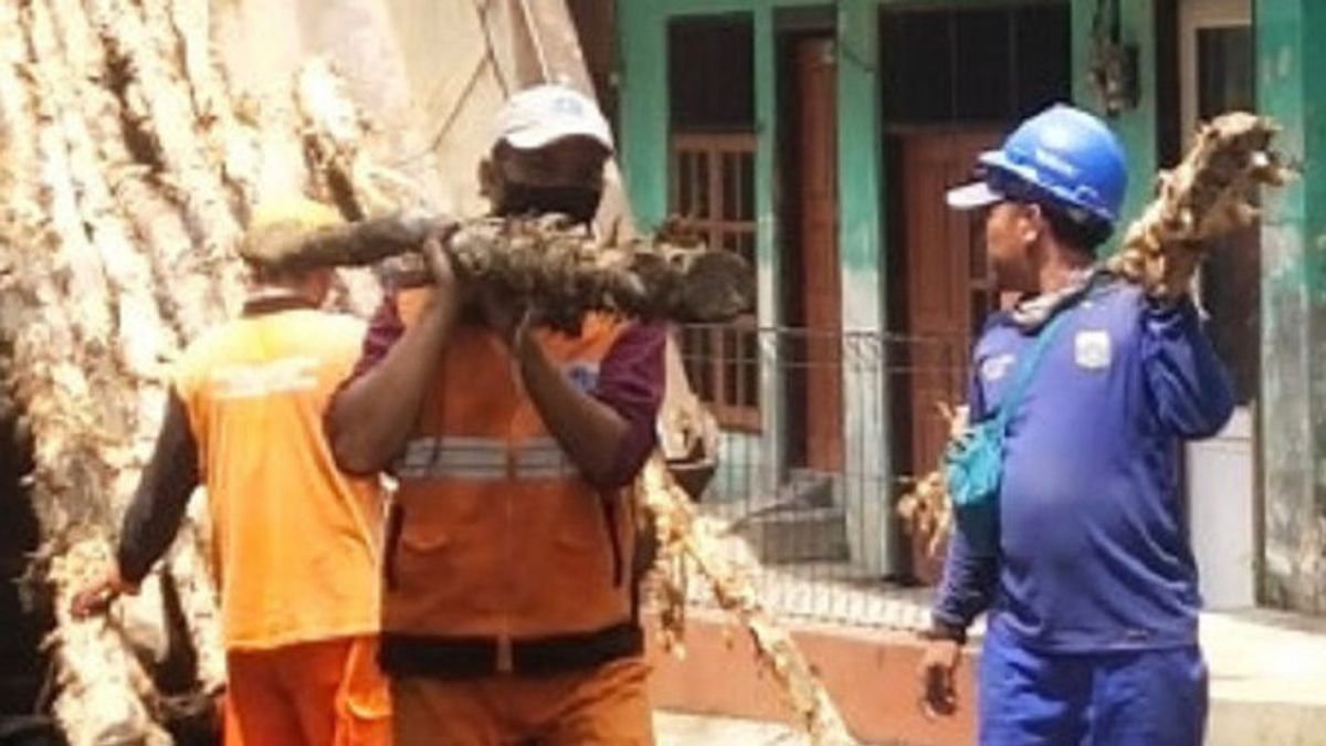 Sempat Terkendala Cuaca dan Luapan Kali Cipinang, Tebing Longsor di Jaktim Mulai Diperbaiki Petugas