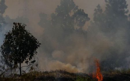 Polda Kalteng Tindak Tegas Pelaku Karhutla