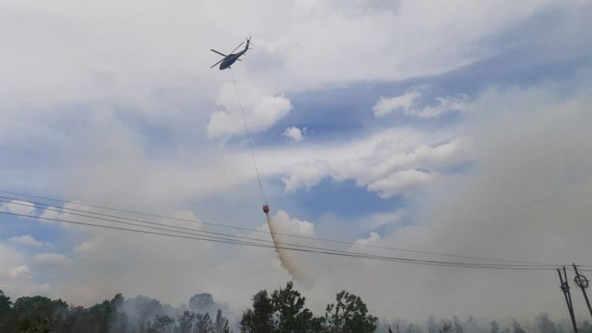 Dari 22 yang Dilaporkan Masyarakat, 4 Kasus Karhutla Sedang Didalami Polda Kalsel