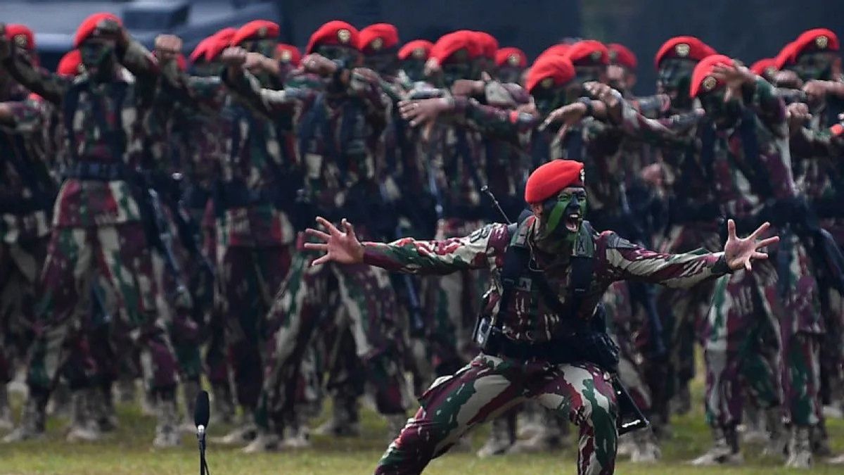 Calon TNI Wajib Tahu: 1 Kompi Berapa Orang Sebenarnya dalam Militer?