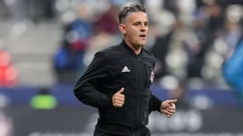 John Herdman Disebut Tolak Latih Jamaika demi Pilih Timnas Indonesia