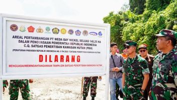 Mabes TNI Segel 2 Perusahaan Garap Lahan Tambang Ilegal di Malut dan Sultra