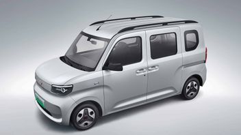 Tawarkan Fleksibilitas Lebih, Begini Wujud Wuling  Zhiguang EV