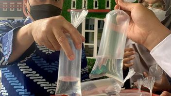 RSI Banjarnegara Distributes Betta Fish To Prevent Dengue Fever