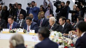 Palestinian President Calls BRICS Influential In Building International Peace And Security Foundations