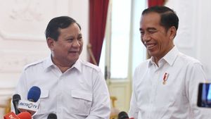 Loyalis Jokowi di Kabinet Prabowo Agar Gibran Tidak Jadi Ban Serep