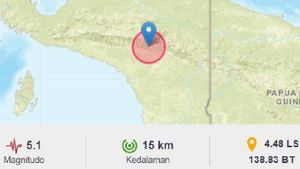 Gempa M5,1 Guncang Jayawijaya, Belum Ada Laporan Kerusakan