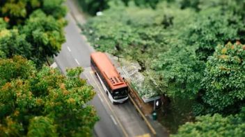 Australian School Bus Overturned Kills Student, 11 Injured