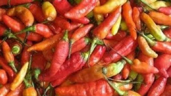 Le Prix Du Poivre De Cayenne à Jayapura Atteint 130 000 IDR Par Kilogramme