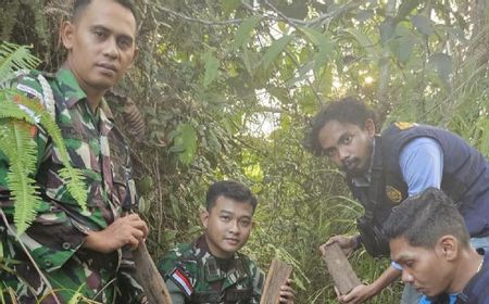 Bea Cukai Sita Penyelundupan Kayu Gaharu di Jalan Tikus Perbatasan RI-Malaysia