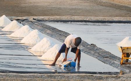 Pemerintah Mau Impor Garam, KPPU: 1,8 Juta Ton Garam Lokal Bisa Tidak Terserap