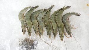 Ekspor Udang ke AS Tetap Bisa Berjalan, tapi Harus Penuhi Standar FDA