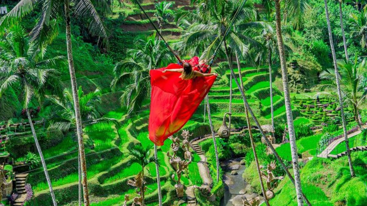 Alas Harum Bali: Lokasi, Tiket Masuk, hingga Daya Tarik Utamanya 
