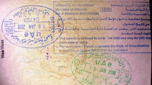 UEA Meluncurkan Visa Spesialis AI dan Memperluas Izin Kemanusiaan