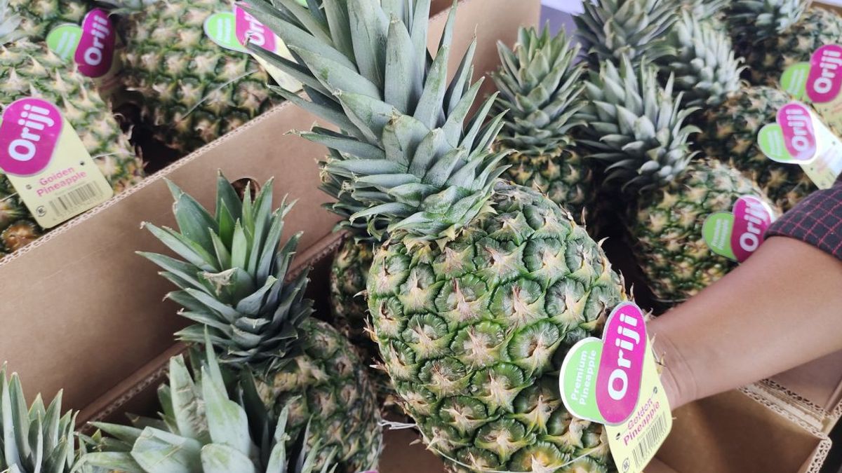 Good News! Australia Stops Anti-dumping Investigation Of Indonesian Pineapple Products