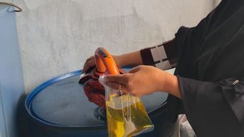 Minyak Goreng Sudah Saatnya Menjadi Wewenang Badan Pangan Nasional