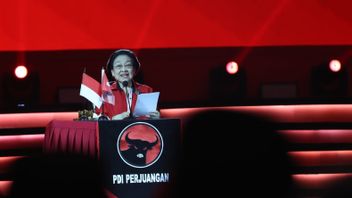 Konsumsi Beras Indonesia Tertinggi di Dunia, Megawati Singgung Bahaya Penyakit Diabetes