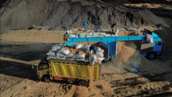 PLN Nusantara Power Manfaatkan Limbah Jagung di Tuban untuk Co-firing PLTU