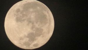 Imbas Supermoon, BMKG Minta Warga NTB Waspadai Banjir Rob hingga 12 November 