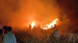 Damkar Lampung Selatan Padamkan Kebakaran Lahan Tol di KM 85