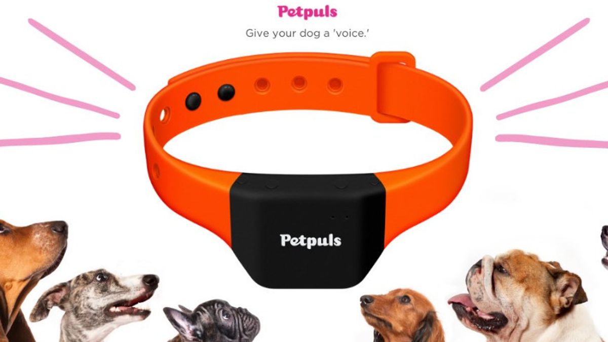 Petpuls Smart Necklace For Dog Barking Translator