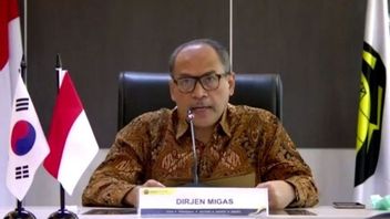 Punya 128 Cekungan, Potensi Migas Indonesia Masih Menjanjikan