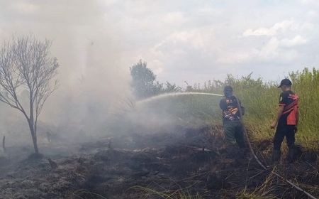 Tim Pemadam Palangka Raya Antisipasi Karhutla Dekati Permukiman Warga