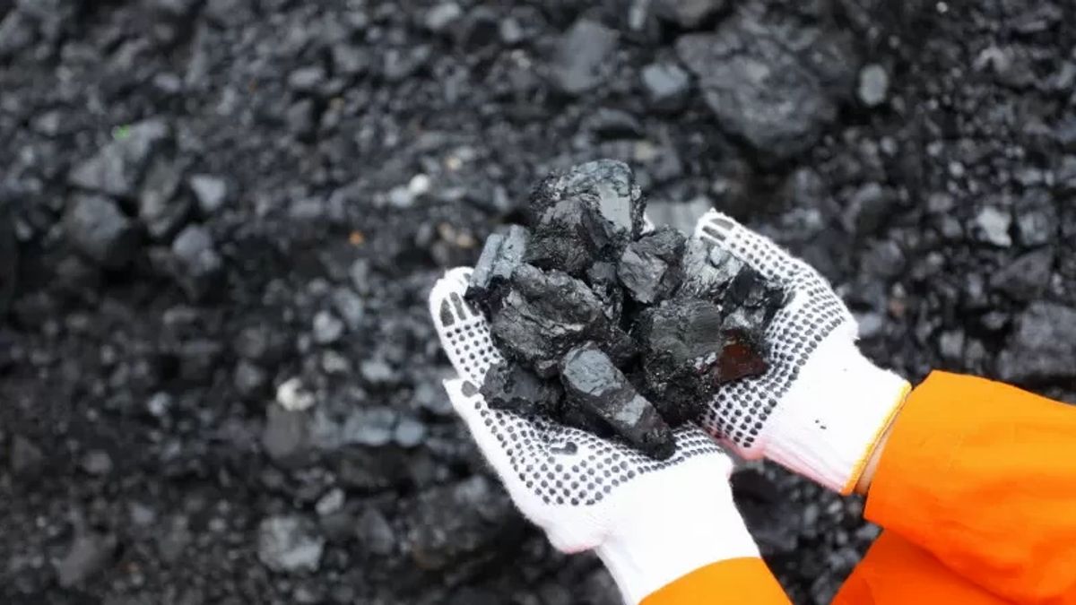 Impact Of Normalization Of Coal Prices, RMKE Business Revenue Drops 3.4 Percent