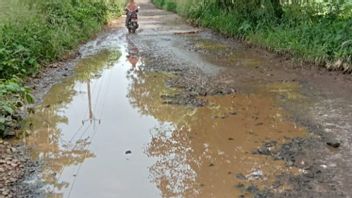 340 Kilometer Jalanan di Kabupaten Bogor Rusak, Pemkab Anggarkan Rp330 Miliar untuk Perbaikan