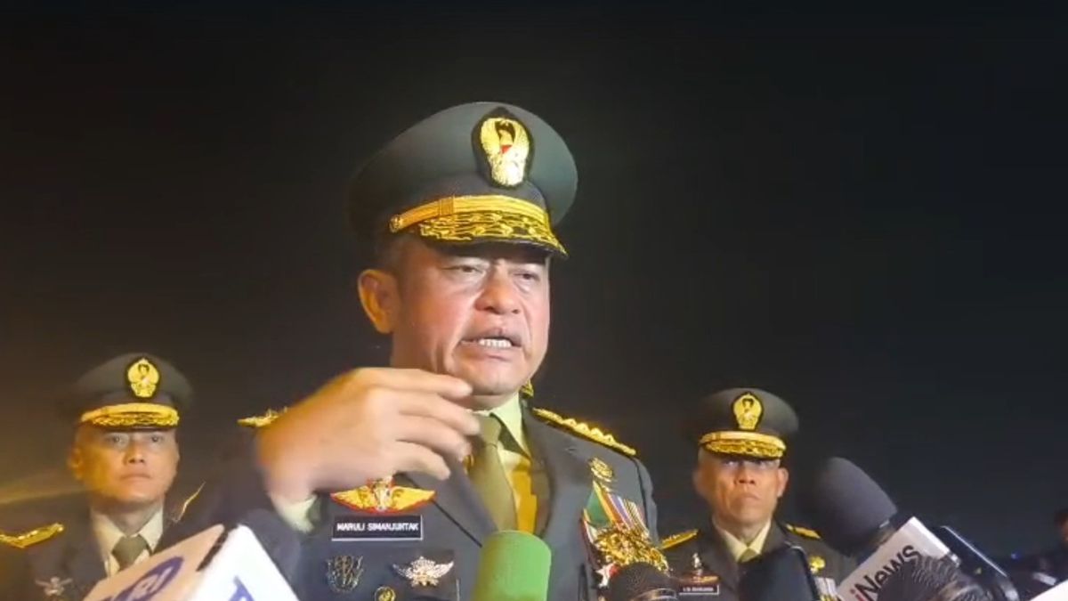 有关于黎巴嫩TNI再次袭击的信息，KSAD：数据不完整