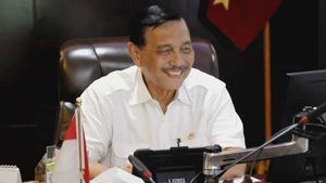 Pernah Bilang Lagi Banyak Kerjaan,  Jokowi pun Copot Luhut dari KKP
