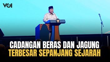 Kemandirian Pangan Mulai Terlihat, Cadangan Beras dan Jagung Indonesia Terbesar Sepanjang Sejarah