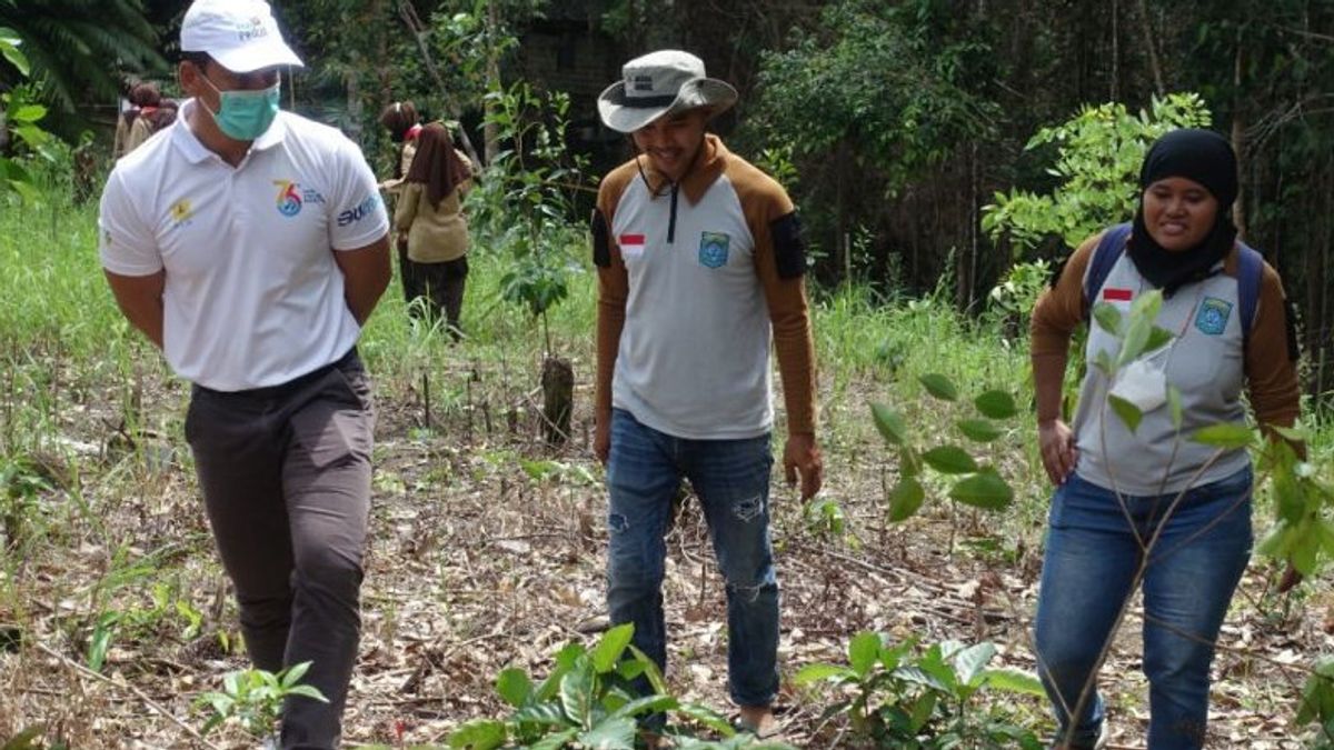 PLN Babel Apresiasi dan Dukung Gerakan Penanaman Pohon di Tahura Bukit Mangkol