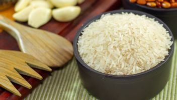 强迫大米和盐进口， Pdip 秘书哈斯托： 粮食问题是国家的生死攸关