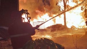 Petugas Berjibaku Padamkan Kebakaran Gudang BBM di Lampung Selatan